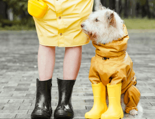 Freitzeitgruppe fällt am 21.09.25 aus