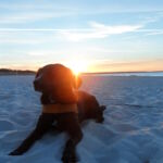 SAM_3017